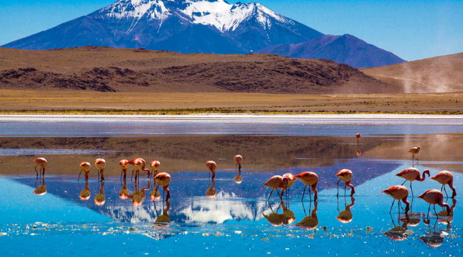 Unsere Autovermietung bietet eine vielfältige Auswahl an Fahrzeugen in Uyuni.